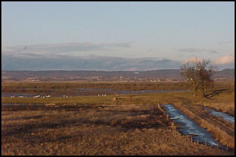 Vadboden 20 mars 1999